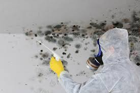 Best Forensic Mold Investigation  in Mulgee, OK